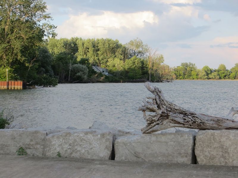 The Island's Vineyard History and Grape-Growing Legacy