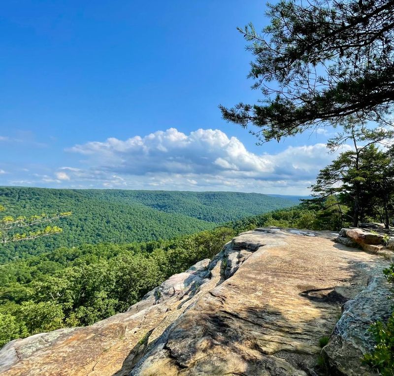 The Jaw-Dropping Panoramic View
