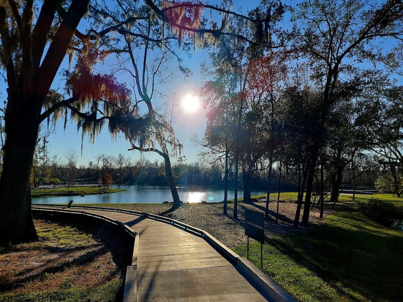 Winding Trails That Feel Like a Nature Movie