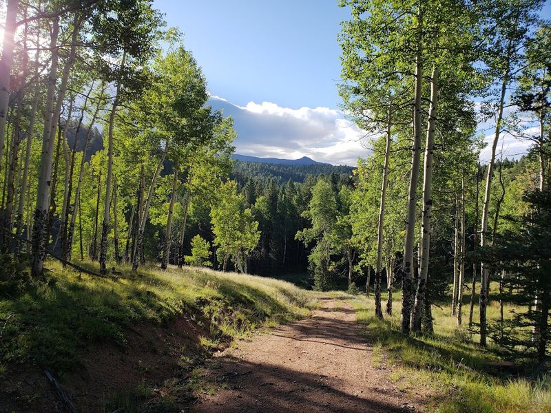 Over 55 Miles of Well-Marked Trails