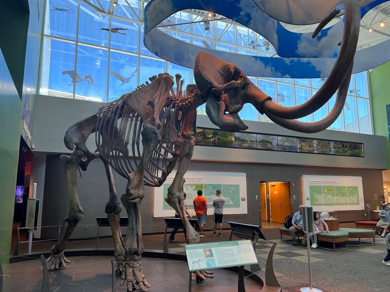 Florida Museum of Natural History - Gainesville, Florida