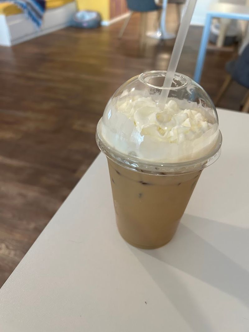 This Arizona Cat Cafe Has Become The Kind Of Wholesome Hidden Gem Animal Lovers Can't Stop Talking About 5 Italian Sodas and Espresso Drinks That Are Worth the Trip Alone