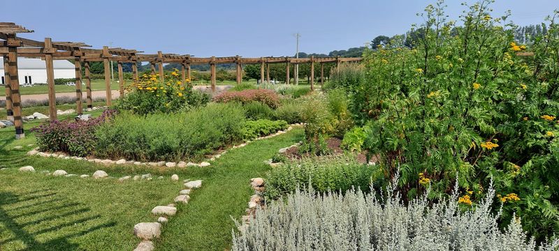 Peak Bloom Season: When to Plan Your Visit