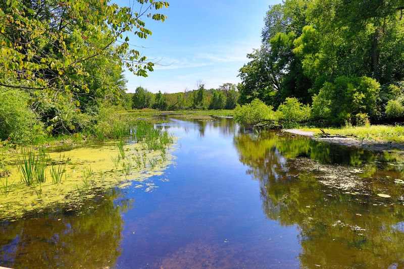Acres of Shaded Walking Paths