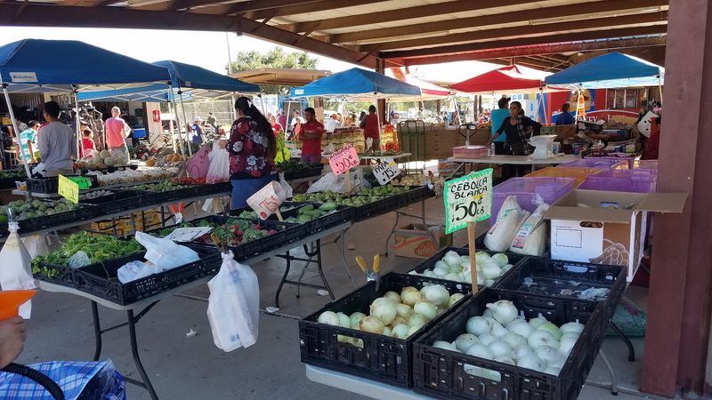 Tips for First-Timers Who Want to Make the Most of Their Visit