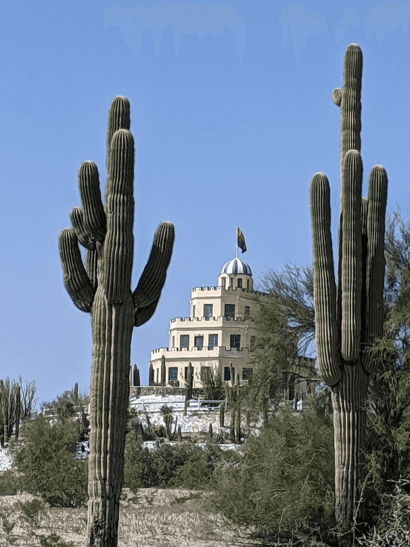The Remarkable Cactus Gardens Surrounding the Castle