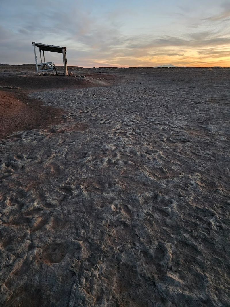 This Arizona trail is like a real-life Jurassic Park with actual dinosaur tracks 8 A Roadside Discovery That Surprises Every First-Timer