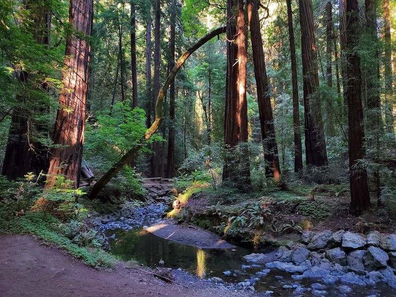Wildlife and Nature Surprises Along the Trail