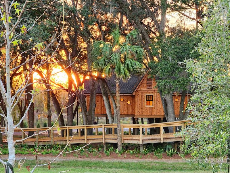 A Canopy Walk That Puts You Among the Treetops