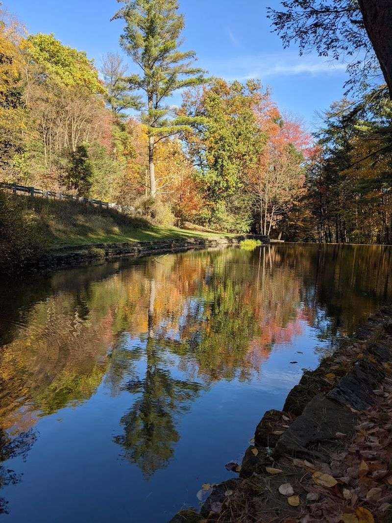 This Little-Known Pennsylvania State Park Feels Like Your Own Private Escape 10 Stunning Old-Growth Gorge Scenery That Changes With Every Season