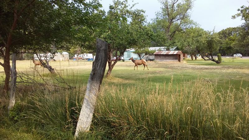 Wildlife Watching in an Unspoiled Natural Setting