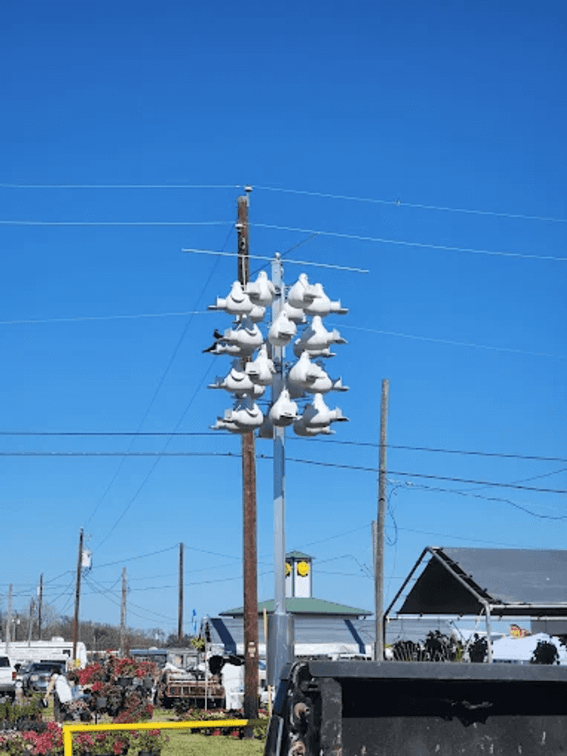 Why First Monday Trade Days Is a Texas Bucket List Experience