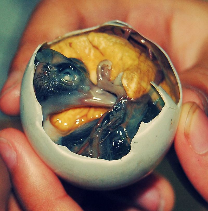 Balut - Philippines