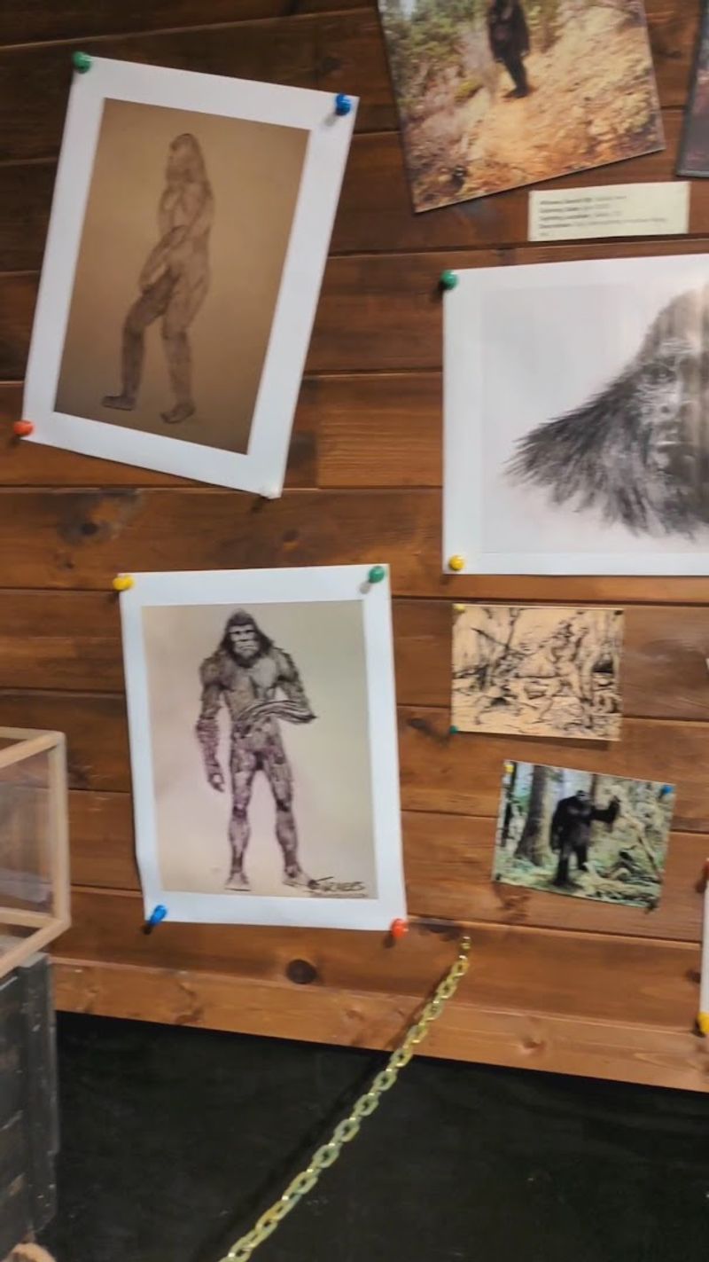 Sighting Maps That Show Just How Close Bigfoot Might Be