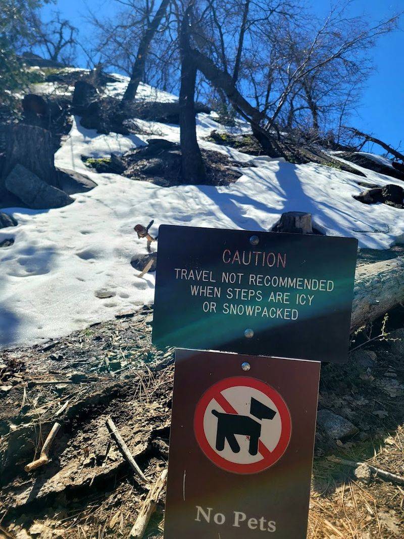 Winter and Rainy Season Considerations