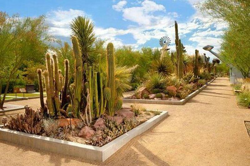 Nevada Destinations That Are Absolutely Worth Leaving the Las Vegas Strip For 8 Springs Preserve - Las Vegas, Nevada