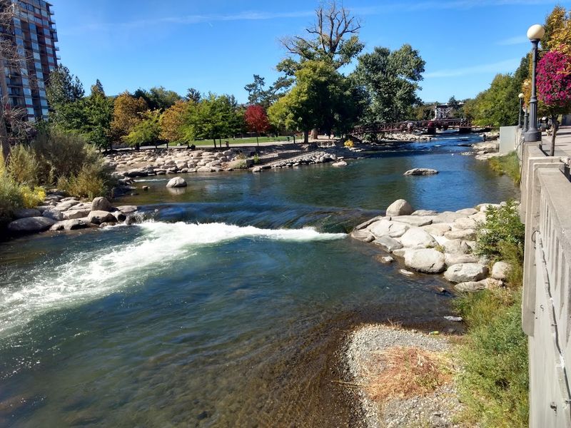 Idlewild Park in Every Season