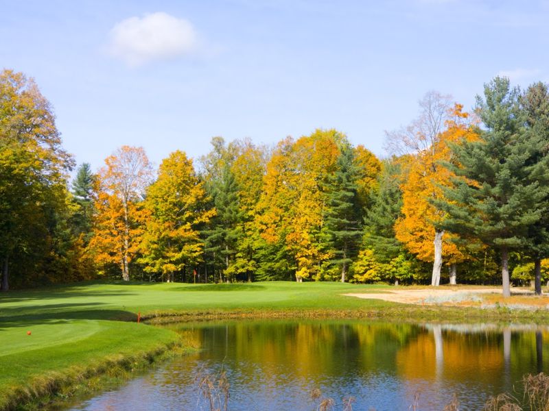Golf on Two Beautiful Michigan Courses