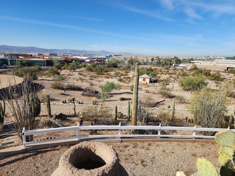 Panoramic Views of the Phoenix and Tempe Skylines