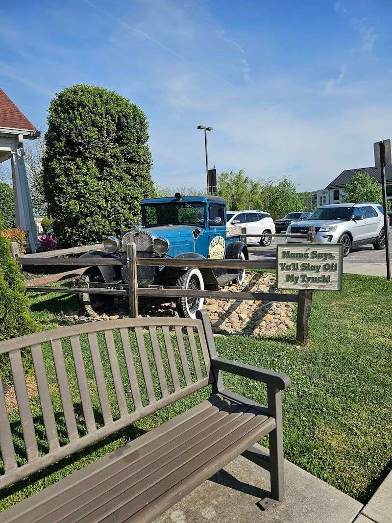 Outdoor Games and Activities for the Whole Family