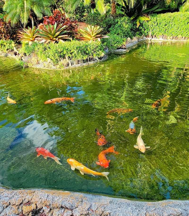 Lanterns and Lights Safari Nights Event