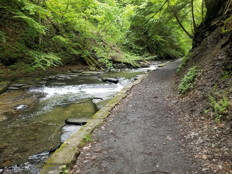 Clean Facilities and Well-Maintained Trails: A Park Done Right