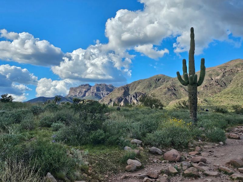 Stunning Views of the Superstition Mountains