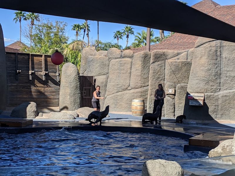 Sea Lion Show Included with Admission