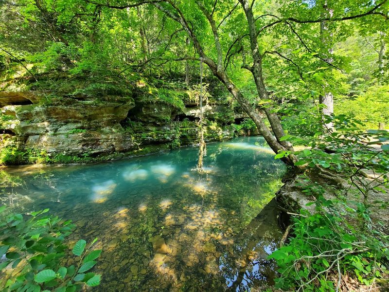 Wildlife and Flora Along the Trail