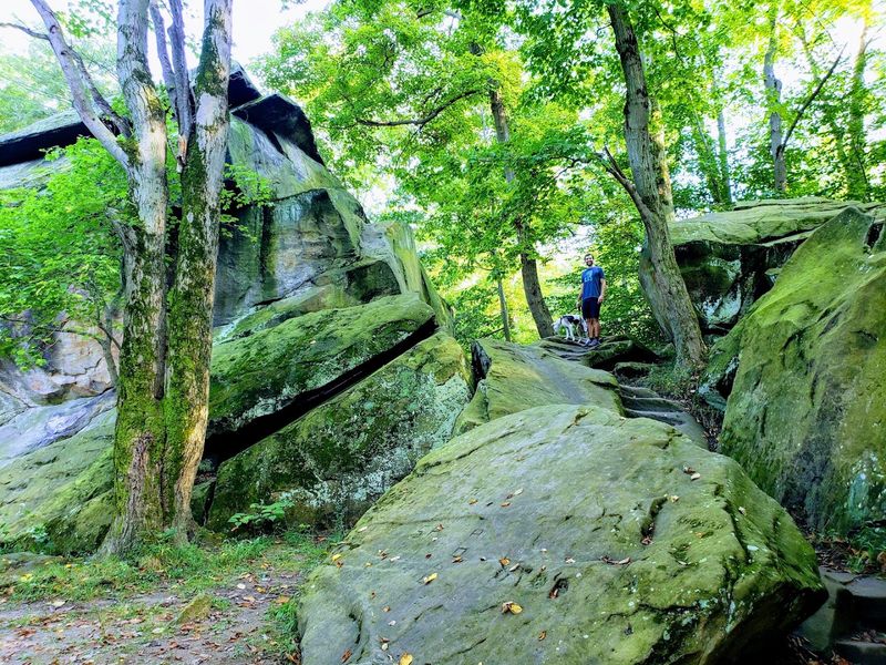 Dramatic Sandstone Gorges and Rock Formations
