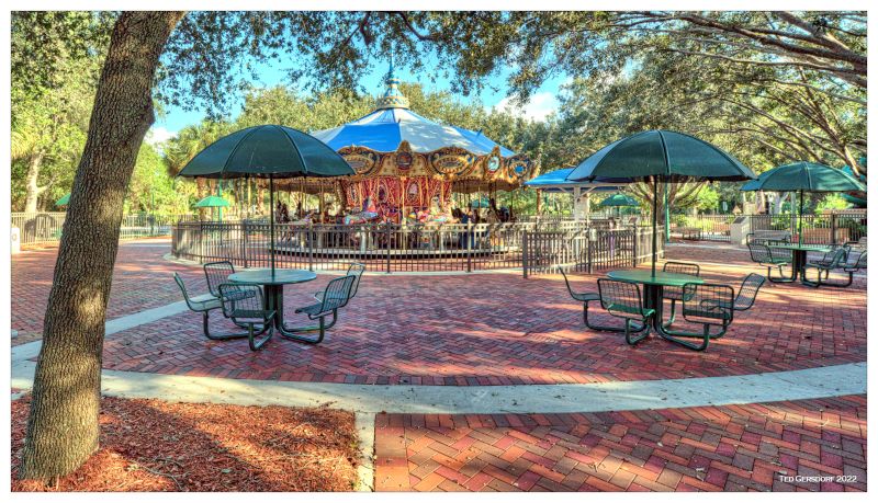 The Charming Carousel Ride