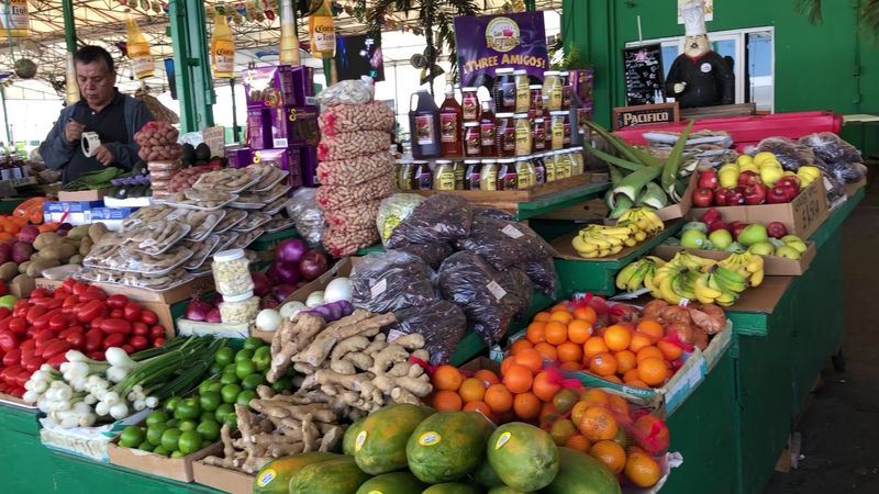 Outdoor Vendor Wonderland Stretching Across the Property