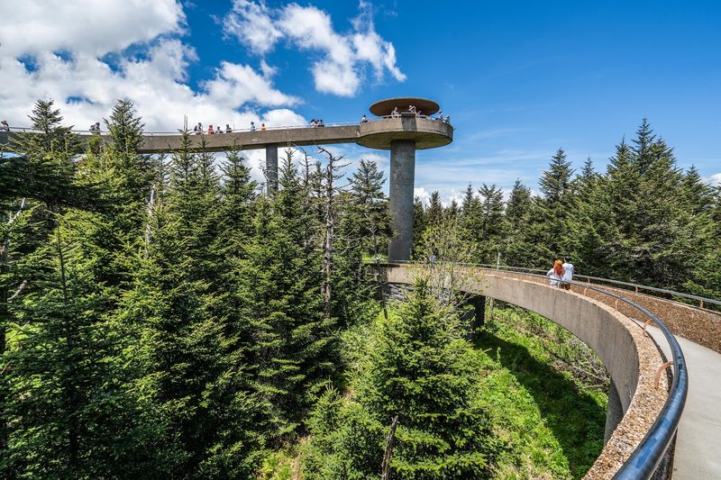 Clingmans Dome: Standing on Top of Tennessee