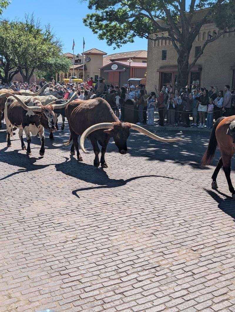 Fort Worth Stockyards - Fort Worth, Texas