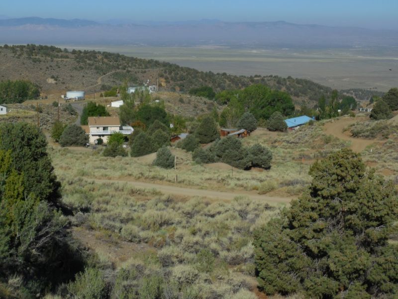 The Spirit of Solitude: Why Austin Keeps Calling Visitors Back