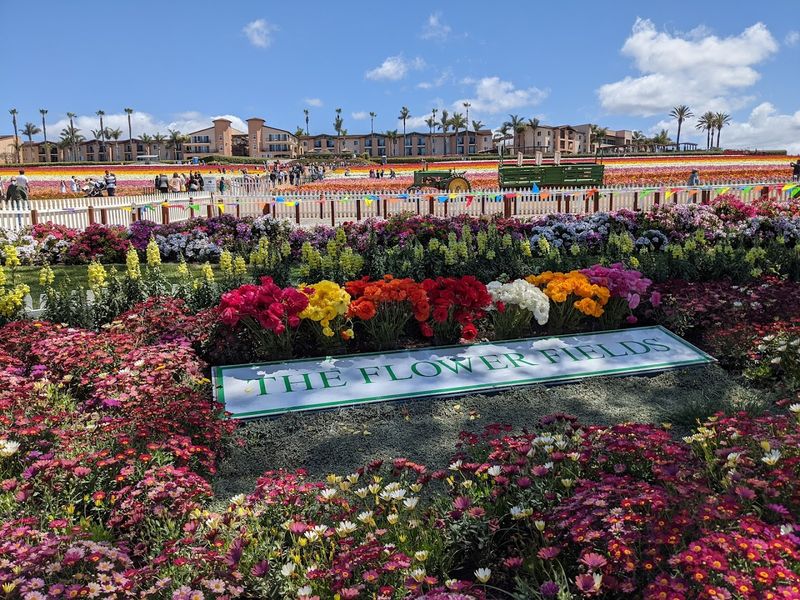 Parking Tips and Getting There Without the Stress