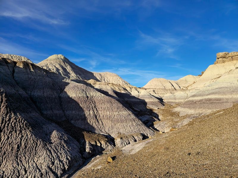 Making the Most of Your Full Day at Petrified Forest