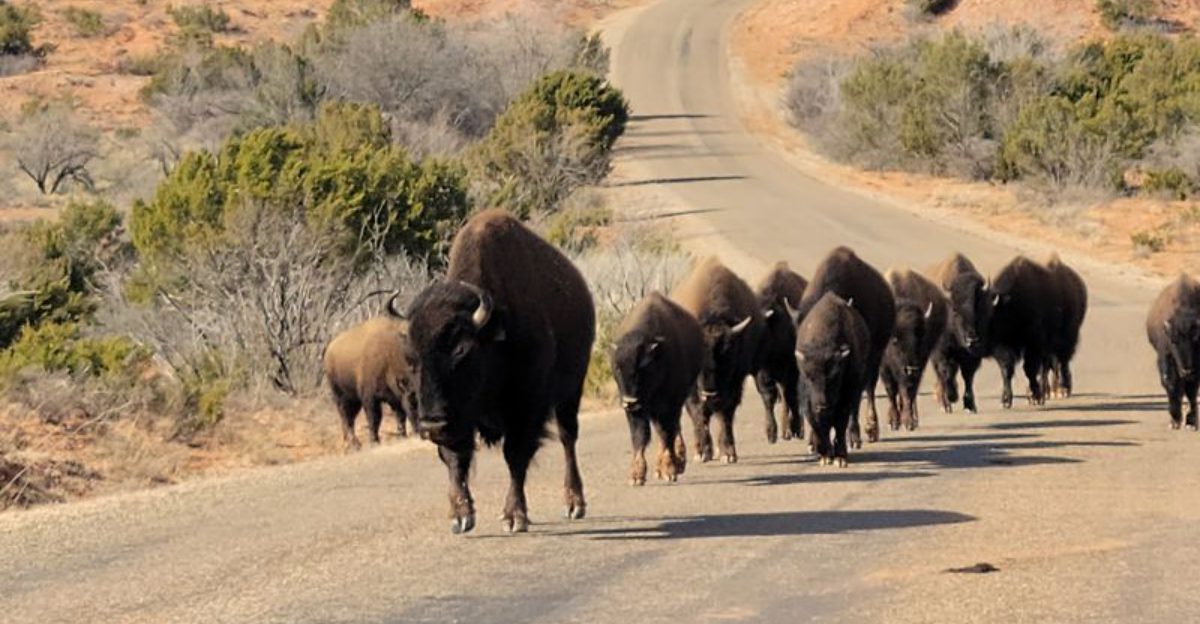 The Texas landscapes that dont quite look real once youre standing there