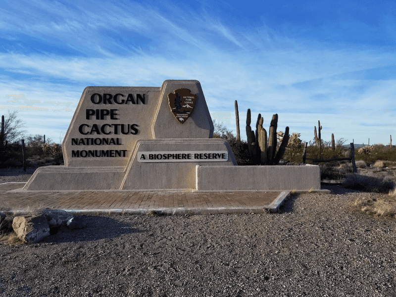 Few have heard of this historic Arizona town, but it's worth a visit 10 Birding at Ajo and Surrounding Areas