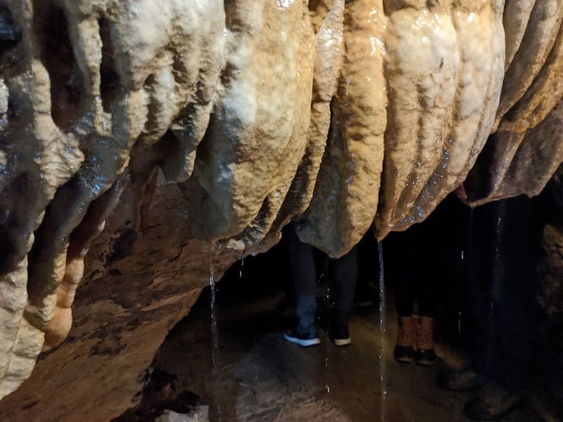 An Underground Stream Running Right Through the Cave