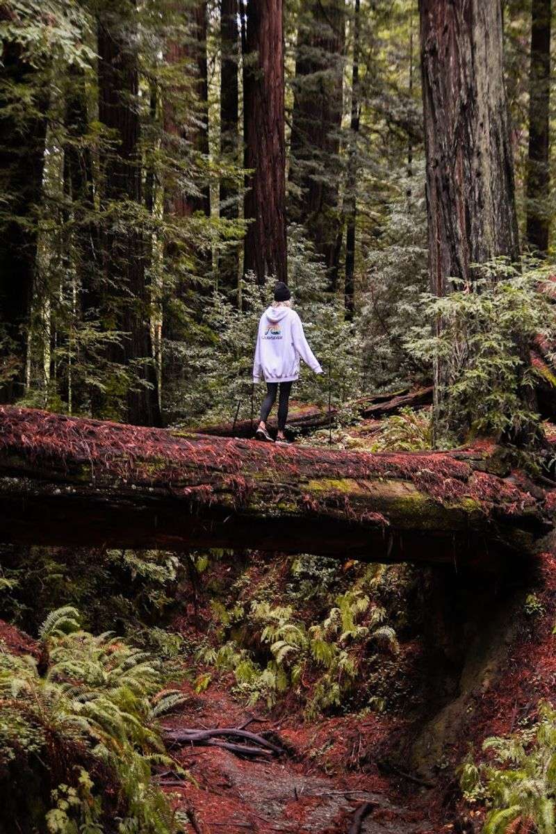 Photography Tips for Capturing the Magic