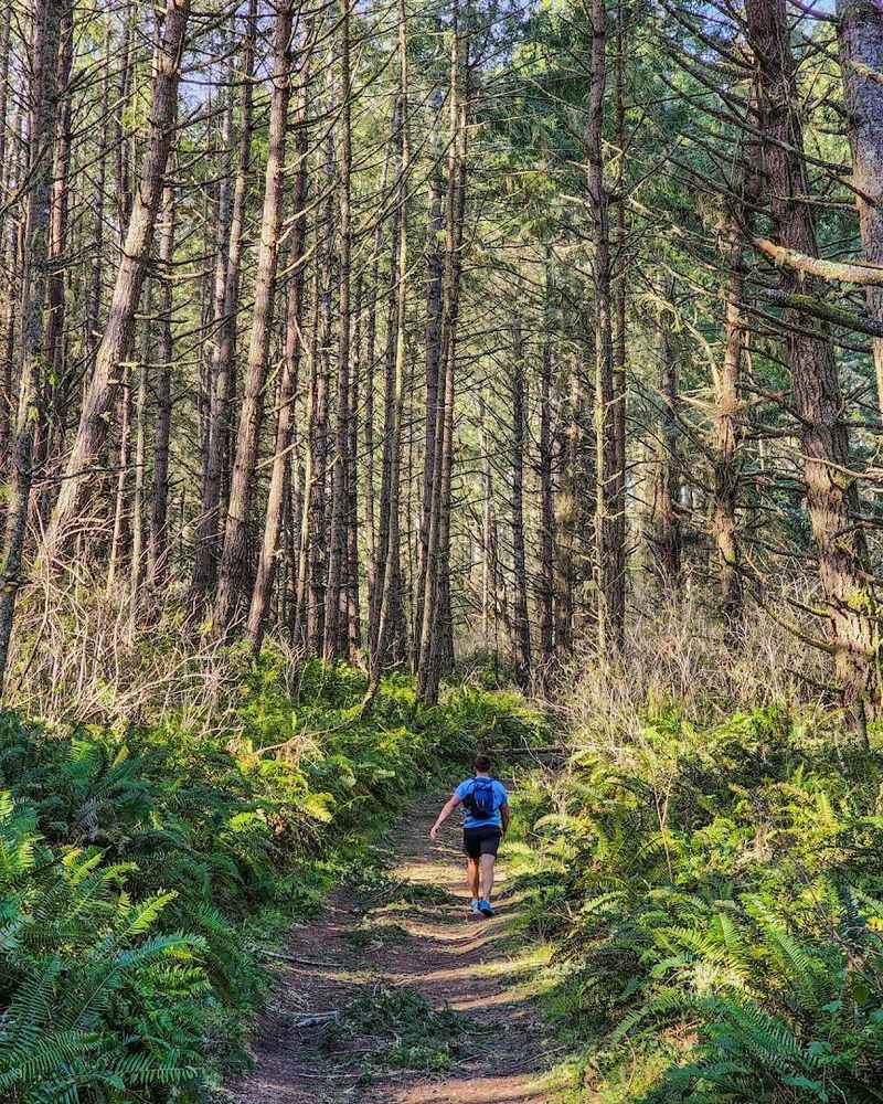The Trailhead: Where Your Adventure Begins