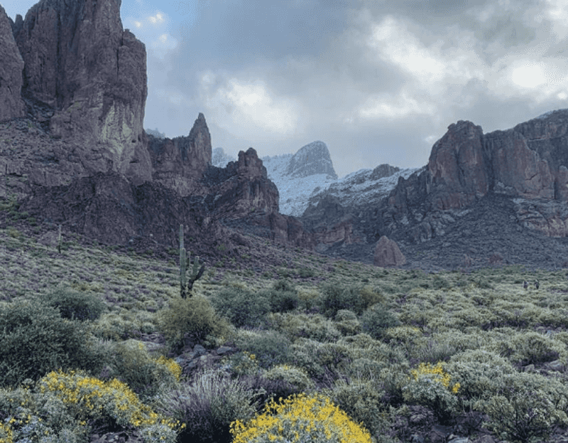 The Treasure Trail: Hidden Views and Wildflower Surprises