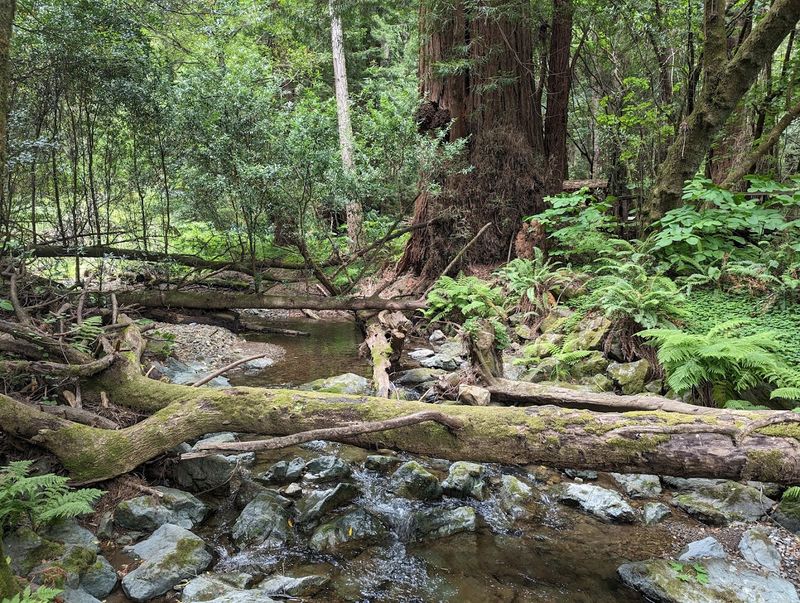 The Best Seasons to Visit and What Each One Offers