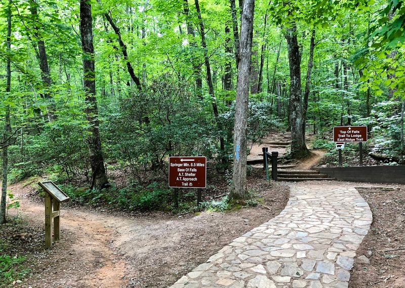 Trails for Every Fitness Level, From Strollers to Serious Hikers