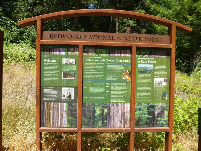 The Visitor Center: Your Best First Stop