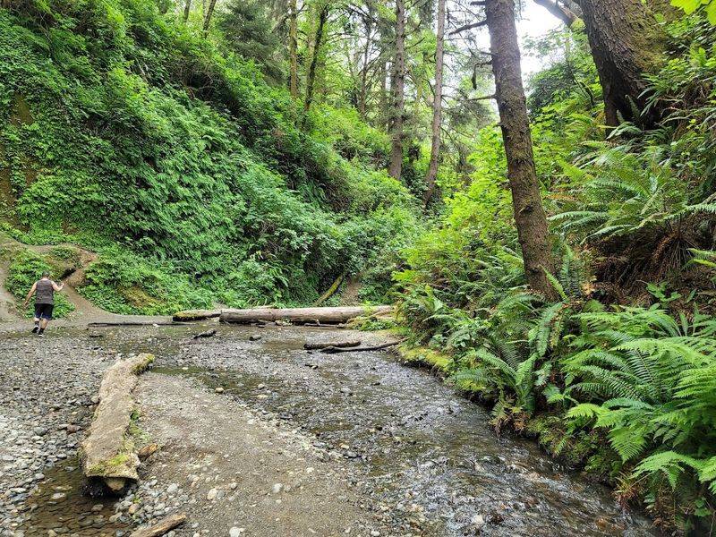 Trillium Falls: A Hidden Waterfall Worth Every Step