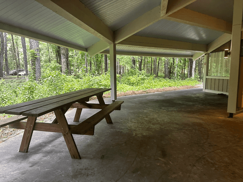 This hidden Florida sinkhole park feels so unexpected it almost passes for something out of another state 8 Picnic Tables, Grills, and a Family-Friendly Setup