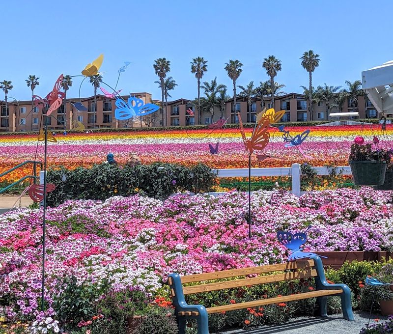 The Butterfly Garden