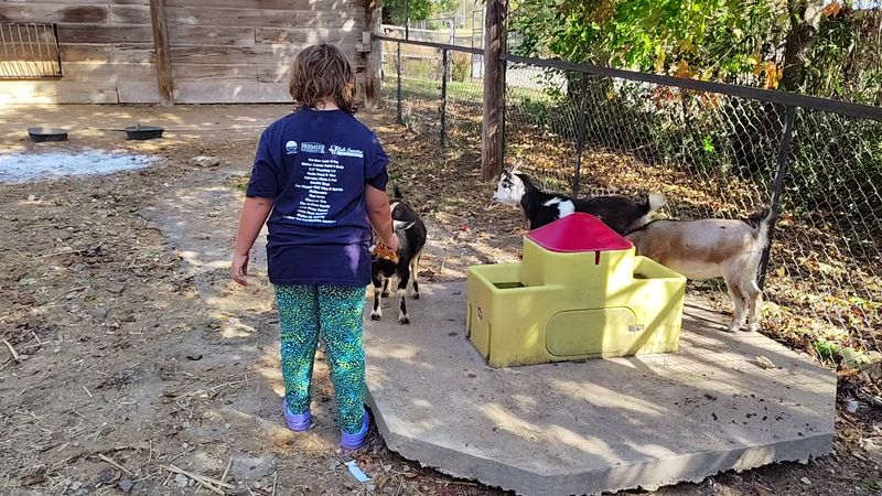 The Sloth House — Where Slow Is the Whole Point